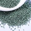 MIYUKI Delica Beads SEED-X0054-DB1846-1