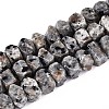 Natural Syenite Beads Strands G-D091-A32-4