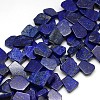 Natural Gemstone Lapis Lazuli Beads Strands X-G-L157-01-1