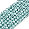 Eco-Friendly Dyed Glass Pearl Round Beads Strands HY-A002-8mm-RB106-1
