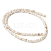 Natural Freshwater Shell Beads Strands SSHEL-C013-04A-2