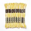 10 Skeins 6-Ply Polyester Embroidery Floss OCOR-K006-A07-1
