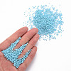 Glass Cylinder Beads SEED-S047-K-004-5