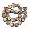 Freshwater Shell Beads Strands SHEL-T014-003-2