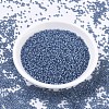 MIYUKI Round Rocailles Beads SEED-G007-RR0648-2