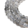 Faceted Round Natural Labradorite Bead Strands G-I156-03-3mm-2