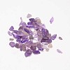 Natural Amethyst Chip Beads X-G-L453-06-1