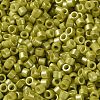 Baking Paint Glass Seed Beads X-SEED-S042-15A-07-3