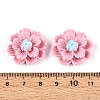 Resin Decoden Cabochons CRES-T025-04E-3
