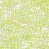 8/0 Glass Seed Beads X-SEED-A016-3mm-212-2