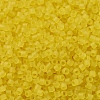 MIYUKI Delica Beads SEED-X0054-DB0743-3