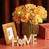 Wooden Letter Ornaments WOOD-GF0001-15-16-7