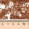 MIYUKI Delica Beads LS-X-SEED-J020-DB2403-3