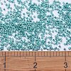 MIYUKI Delica Beads SEED-JP0008-DB0427-4
