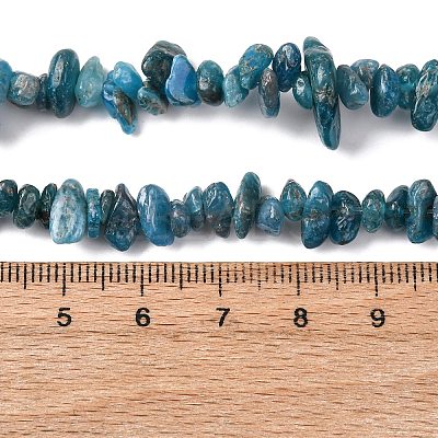 Natural Apatite Beads Strands G-F666-01B-02-01-1