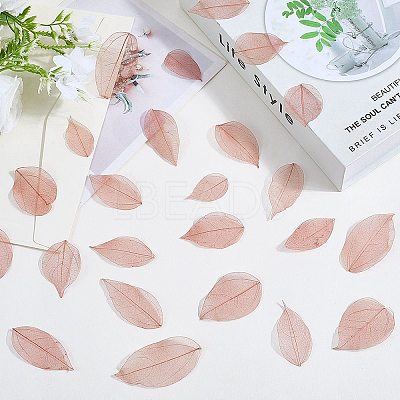 100Pcs Dried Flower Leaf Craft Supplies AJEW-CP0009-41C-1