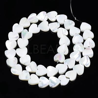 Natural Trochid Shell/Trochus Shell Beads Strands SSHEL-N034-99B-B01-1