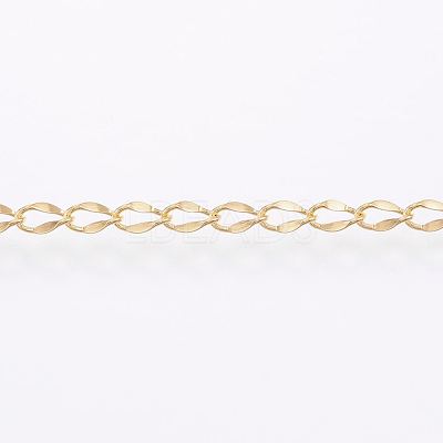 Handmade 304 Stainless Steel Curb Chains STAS-G038-11B-1