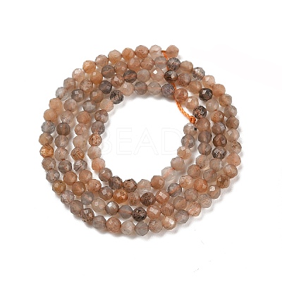 Natural Multi-Moonstone Beads Strands G-L597-C06-01-1