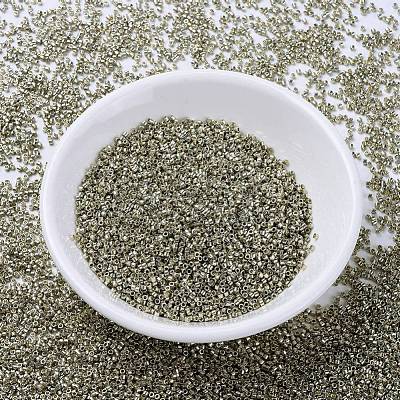 MIYUKI Delica Beads X-SEED-J020-DB1851-1
