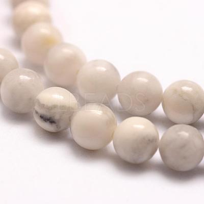 Natural Howlite Beads Strands G-E380-08-6mm-1