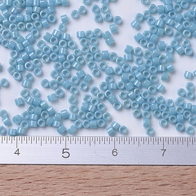 MIYUKI Delica Beads X-SEED-J020-DB0218-1