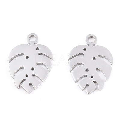 Non-Tarnish 304 Stainless Steel Charms STAS-S107-05P-1