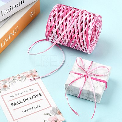 1 Roll Segment Dyed Raffia Paper Cords for DIY Craft OCOR-CJ0004-12-1