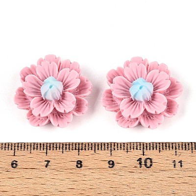 Resin Decoden Cabochons CRES-T025-04E-1