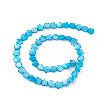 Natural Freshwater Shell Dyed Beads Strands SHEL-K001-001F-1