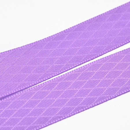 Polyester Grosgrain Ribbons for Gift Packing SRIB-L017-022-463-1