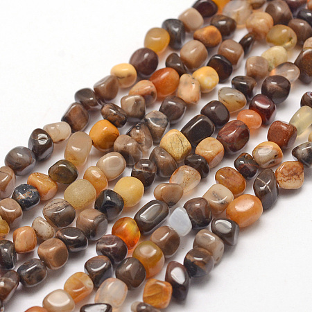 Natural Petrified Wood Beads Strands G-F465-20B-1