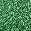 TOHO 8/0 Round Beads X-SEED-TR08-0307-2