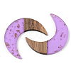 Transparent Resin & Walnut Wood Pendants RESI-S389-056A-B01-2