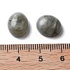 Natural Labradorite Cabochons G-G145-01A-61-3