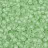 FGB Frosted Transparent Glass Seed Beads SEED-N013-02A-08-3
