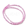 Natural Trochus Shell Beads Strands SHEL-K006-19-3