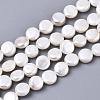 Natural Freshwater Shell Beads Strands X-SHEL-N026-50B-01-1