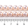 UV Plating Pearlized Glass Pearl Beads Strands GLAA-F128-01B-T09-2