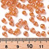 6/0 Glass Seed Beads X1-SEED-A007-4mm-169-3