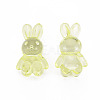 Transparent Acrylic Beads MACR-S373-81-B06-2