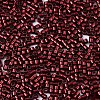 FGB 11/0 Grade A Glass Seed Beads X-SEED-S030-1212-2