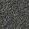 TOHO 15/0 Round Beads X-SEED-TR15-0613-1