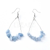 Dangle Earrings EJEW-E255-B06-1