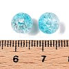 Transparent Crackle Acrylic Beads CACR-N002-22B-3