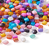 300Pcs 10 Colors Natural Freshwater Shell Beads SHEL-TA0001-06-25