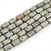 Natural Variscite Beads Strands G-N346-01B-14-2