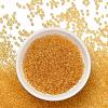TOHO 8/0 Round Beads SEED-TR08-0002A-2