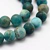 Natural Apatite Beads Strands G-K193-10mm-12-3