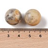 Natural Crazy Agate No Hole Sphere Beads G-K353-04D-34-3
